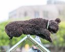 20170426-ag-0852