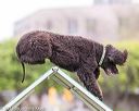 20170426-ag-0875