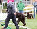 20170426-ag-0888