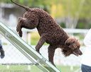 20170426-ag-0817