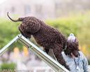 20170426-ag-0757