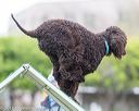 20170426-ag-0792