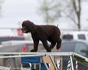 20170426-ag-1124