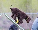 20170426-ag-1233