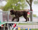 20170426-ag-1248