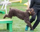 20170426-ag-1267