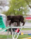 20170426-ag-1304