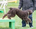 20170426-ag-1333
