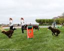 20170426-ag-1412