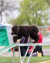 20170426-ag-1509