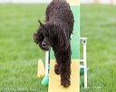 20170426-ag-0983