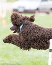 20170426-ag-1054