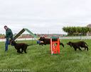 20170426-ag-4000