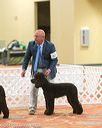 20170426-sw-0053
