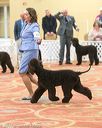 20170426-sw-0077