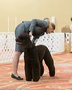 20170426-sw-0022