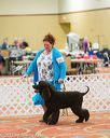 20170426-sw-0245