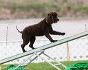 20170426-ag-0324