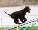 20170426-ag-0376