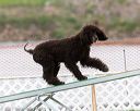 20170426-ag-0380