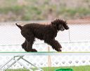 20170426-ag-0382