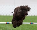 20170426-ag-0473