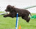 20170426-ag-0009