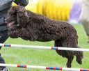 20170426-ag-0017