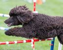 20170426-ag-0020