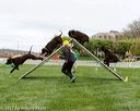 20170426-ag-0065