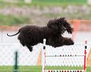 20170426-ag-0122