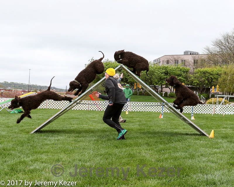 20170426-ag-0065.jpg