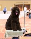 20170427-c-0024