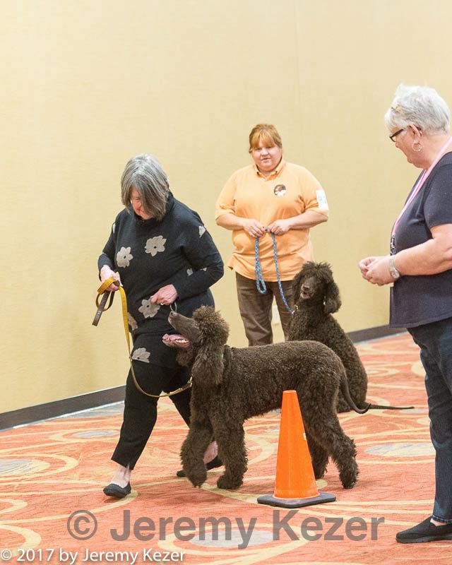 20170427-ga-0053.jpg