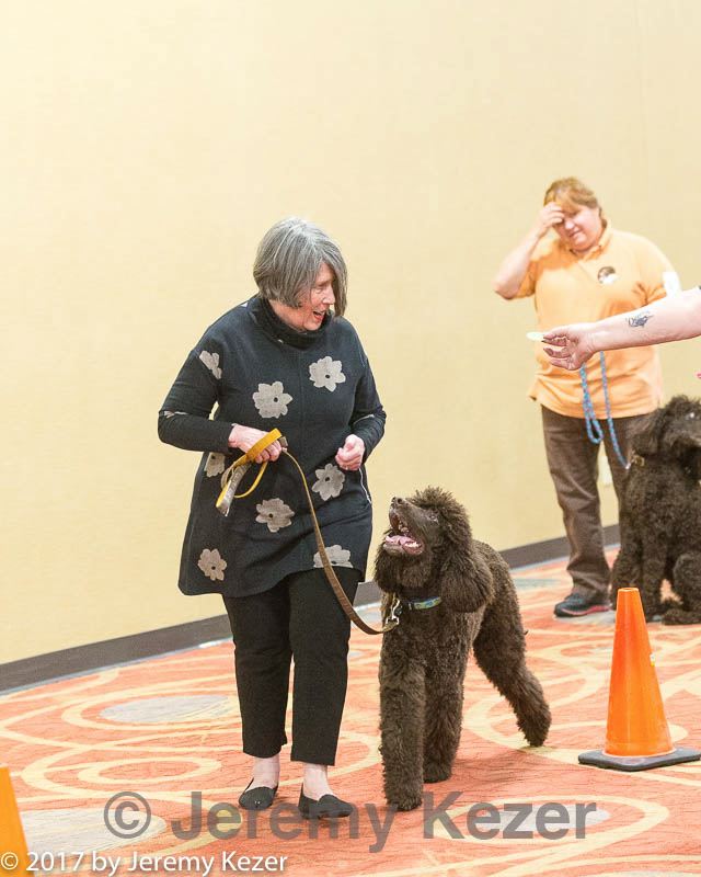 20170427-ga-0055.jpg