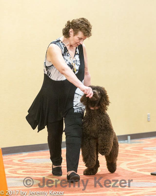 20170427-ga-0059.jpg