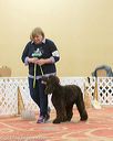 20170427-ob-0408