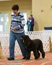 20170427-ob-0337