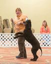 20170427-ob-0362