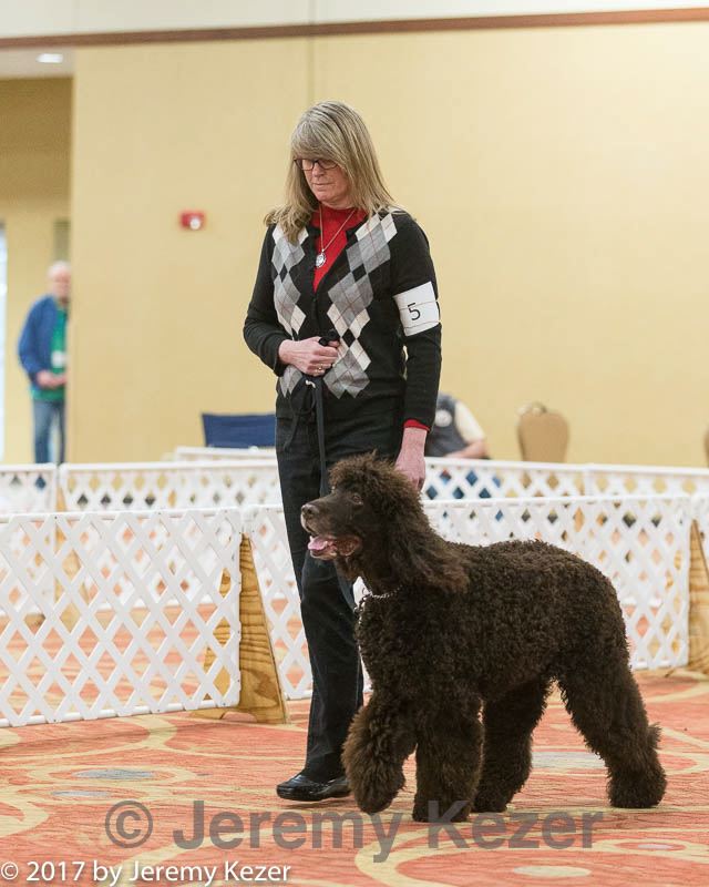 20170427-ob-0309.jpg