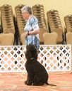20170427-ob-0116