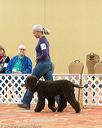 20170427-ob-0189