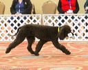 20170427-ob-0221