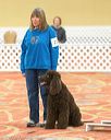 20170427-ob-0296
