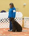 20170427-ob-0301