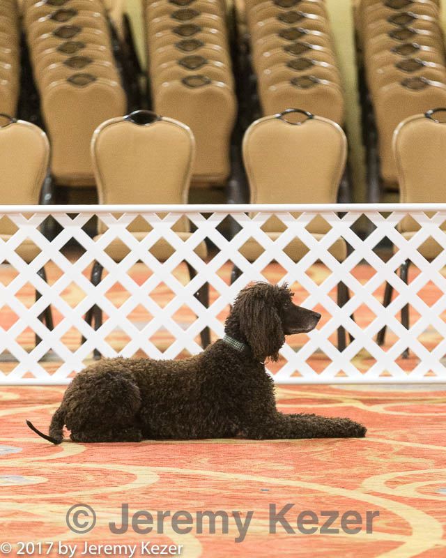 20170427-ob-0133.jpg