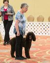 20170427-ob-0012