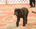 20170427-ob-0046
