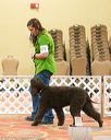 20170427-ra-0054