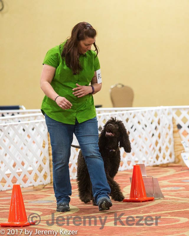 20170427-ra-0057.jpg